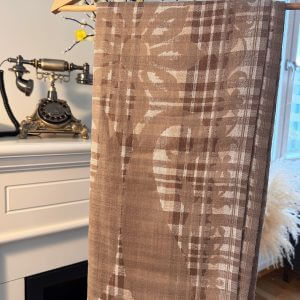 Graceful Afrozeh silk saree with embroidered borders, showcasing authentic Pakistani designer pret for formal wear.